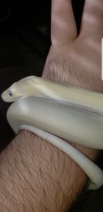Screenshot_20180707-041959_Gallery.jpg