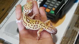 20180911_131010.jpg