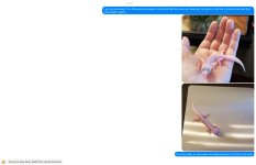 Message 19 - 8.8.2018.jpg