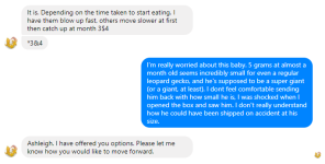 Message 23.png