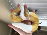 FullSizeRender.jpg