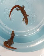 20180609_202434.jpg