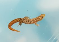 20180609_205529.jpg
