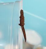 20180609_211900.jpg