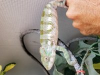 20180624_113633.jpg