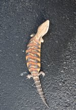 20180730_175139.jpg