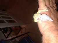 20180527_011134.jpg