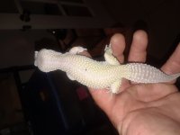 20180527_011359.jpg