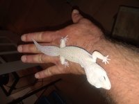 20180527_011422.jpg