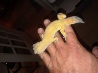 20180527_011458.jpg