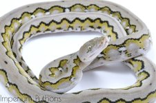 WaterMark_2018-04-11-21-20-08.jpg