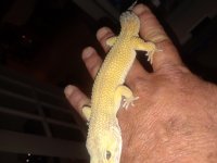 20180527_011504.jpg