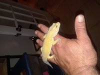 20180527_011526.jpg