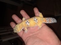 20180527_014110.jpg