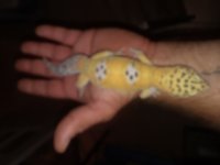 20180527_014206.jpg