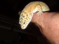 20180527_014224.jpg