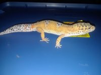 20180527_014329.jpg