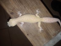 20180527_015308.jpg