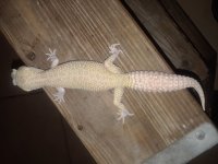 20180527_015313.jpg