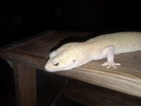 20180527_015324.jpg