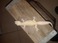 20180527_015332.jpg