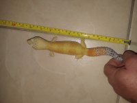 20180527_020433.jpg