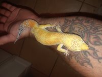 20180527_020318.jpg