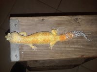 20180527_020131.jpg