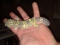 20180527_021041.jpg