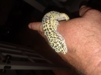 20180527_021047.jpg
