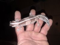 20180527_033003.jpg