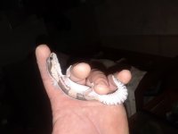 20180527_033013.jpg