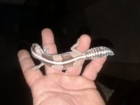 20180527_033017.jpg