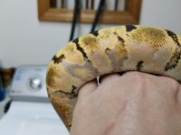 20180131_213724.jpg