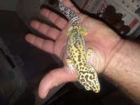 20180527_035042.jpg