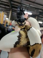 IMG_20180414_104608.jpg