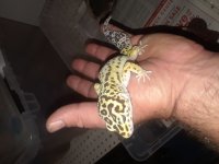 20180527_035036.jpg
