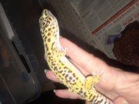 20180527_035011.jpg