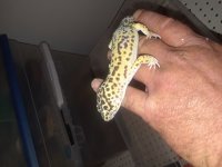 20180527_035024.jpg