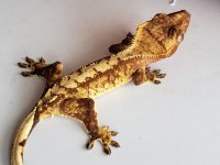 20180913_134817.jpg