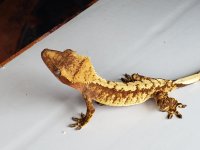 20180913_134739.jpg