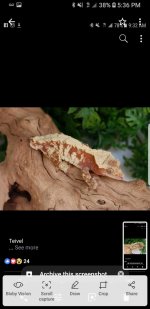 Screenshot_20180619-173610_Photos.jpg