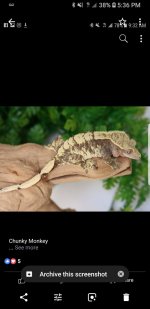 Screenshot_20180619-173607_Photos.jpg