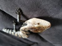 20180624_141939.jpg