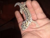 20180503_103716.jpg