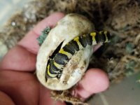 20170428_165713.jpg