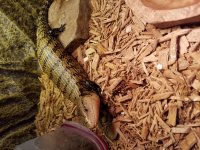 20180117_175819.jpg