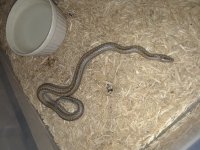 20180708_142548.jpg