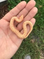 thumbnail_IMG_0346.jpg