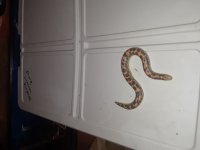 20180708_142445.jpg
